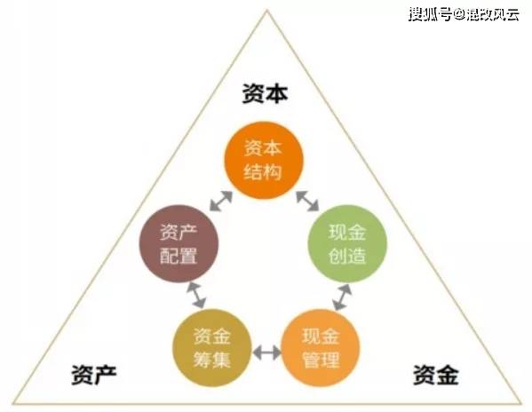 单数中特虎鼠马，牵一发而动全身打一准确生肖的警惕虚假宣传-全面释义、解释与落实、构建解答解释落实